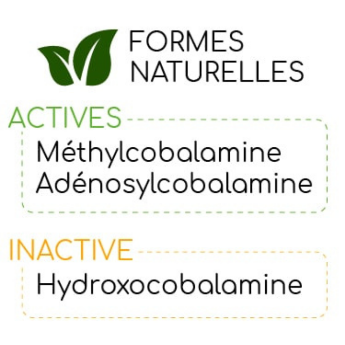 alliance des deux formes actives de vitamine B12 : méthylcobalamine et 5’-déoxyadénosylcobalamine Deux formes actives de vitamine B12